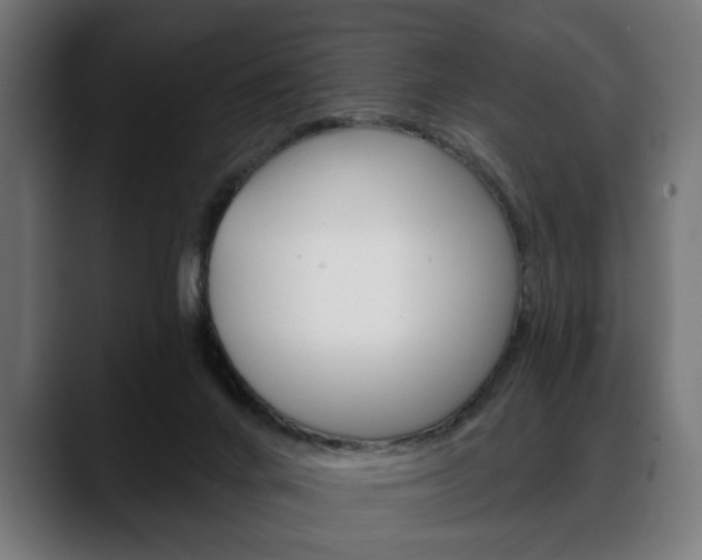 X0000088630024200705250907