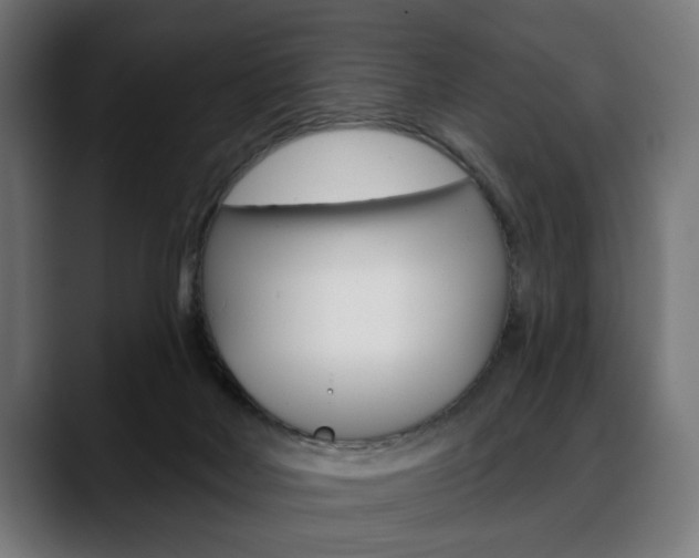 X0000088630026200705250907