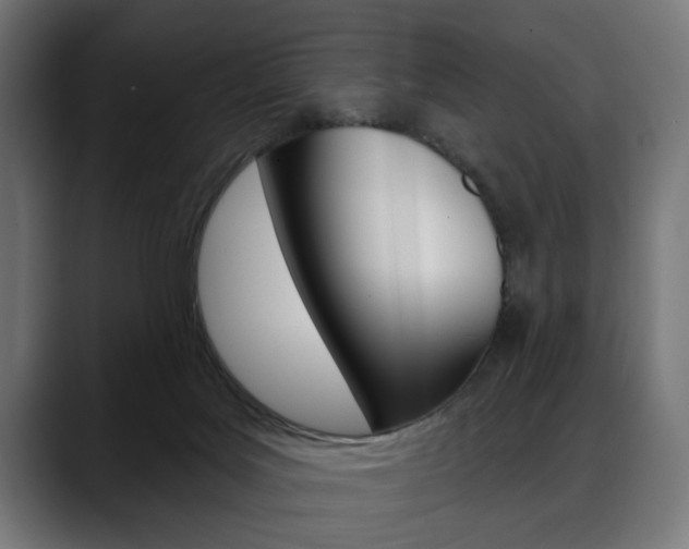 X0000088630027200705250907