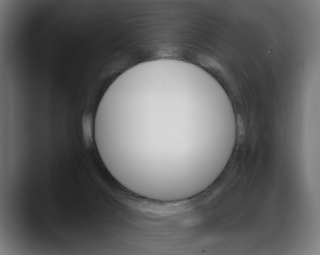 X0000088630028200705250907