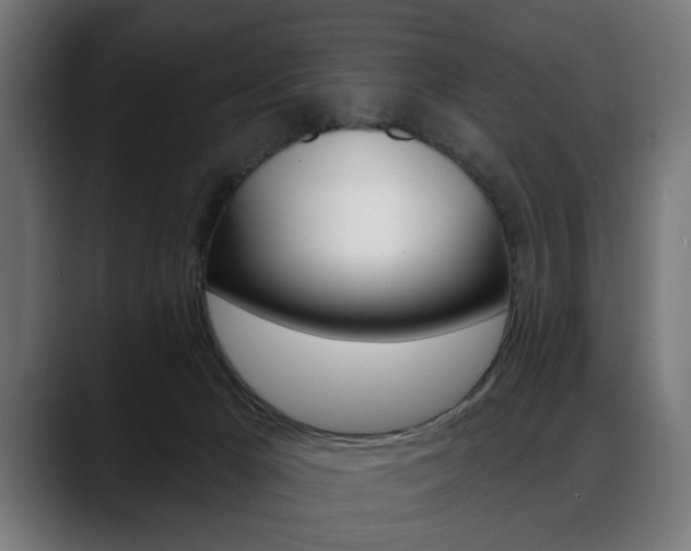 X0000088630029200705250907