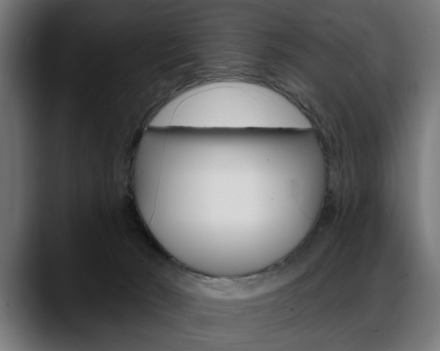 X0000088630030200705250907
