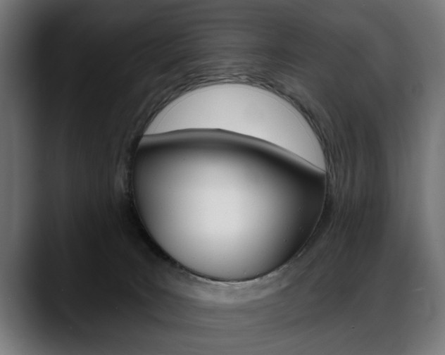 X0000088630035200705250907