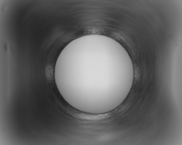 X0000088630036200705250907