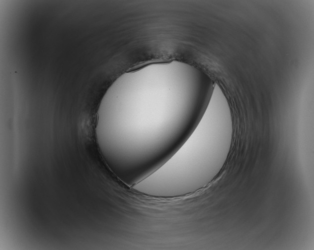 X0000088630037200705250907