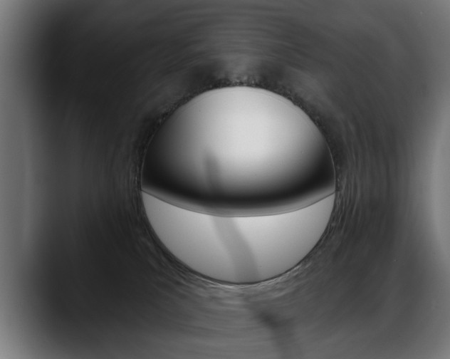 X0000088630039200705250907