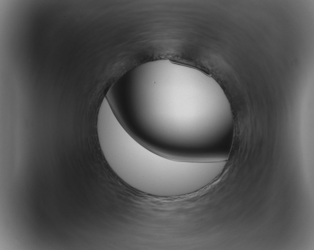 X0000088630041200705250907