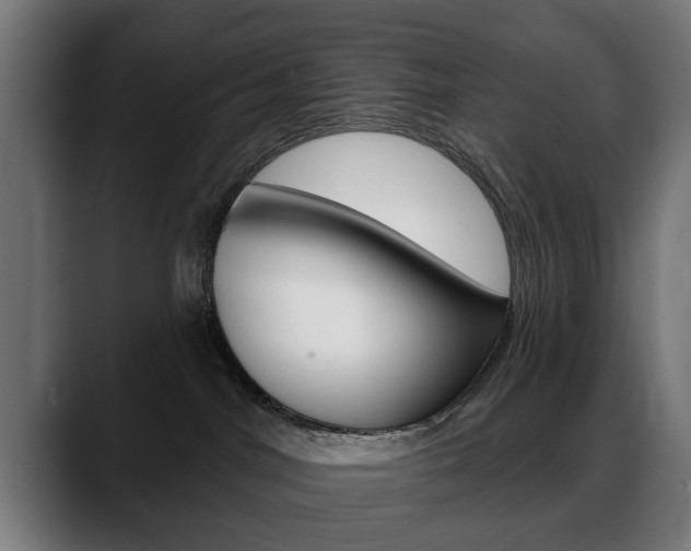 X0000088630044200705250907