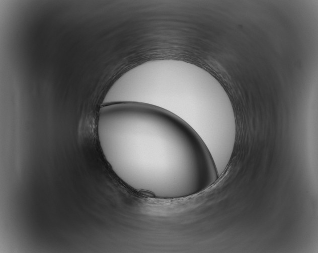 X0000088630045200705250907