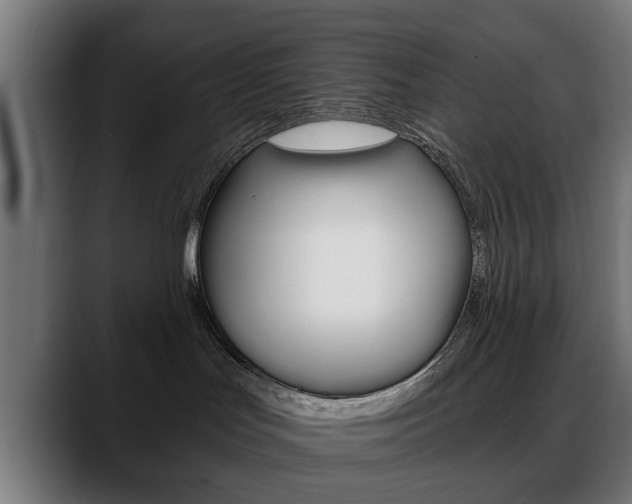 X0000088630047200705250907