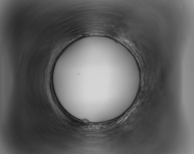 X0000088630049200705250906