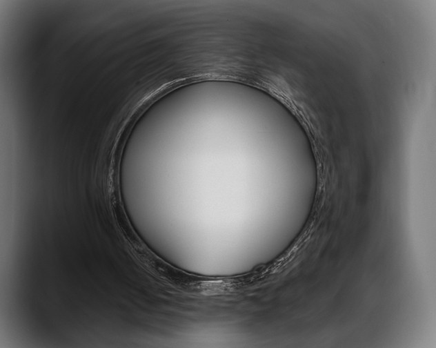 X0000088630050200705250906