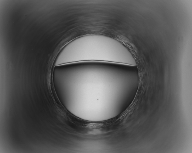 X0000088630051200705250906