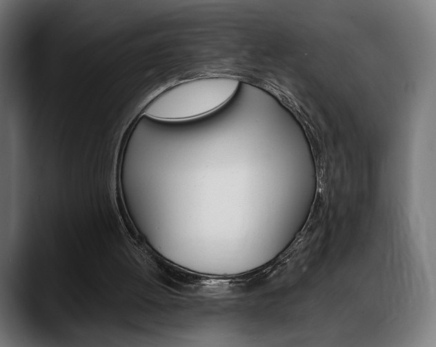 X0000088630052200705250906