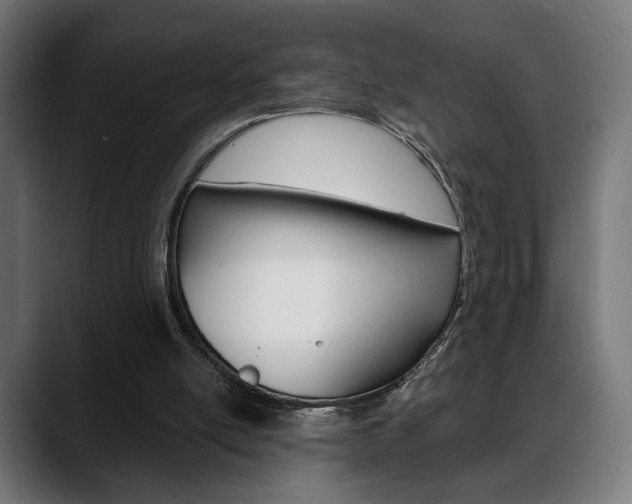 X0000088630054200705250906