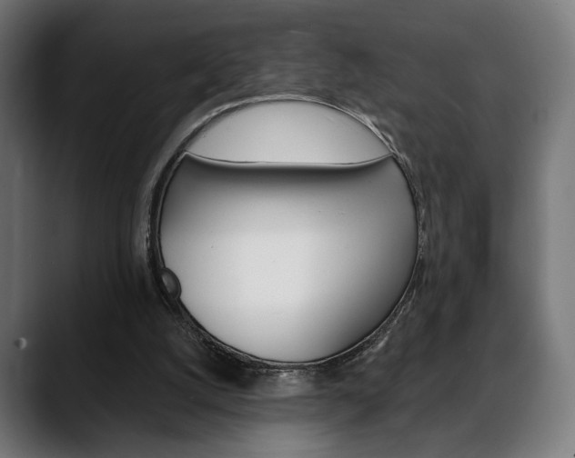 X0000088630056200705250906