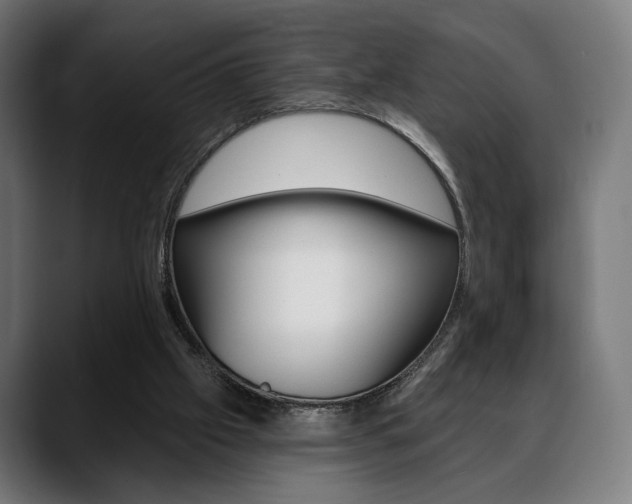 X0000088630057200705250906