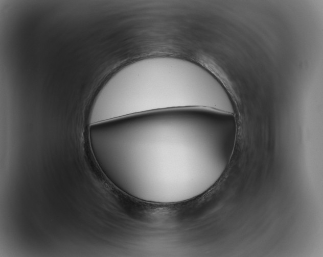 X0000088630058200705250906