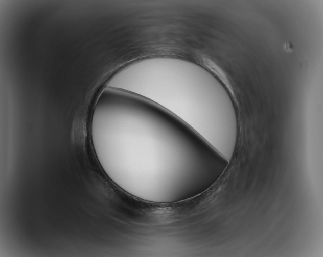 X0000088630059200705250906
