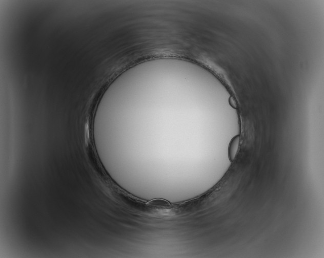 X0000088630061200705250906