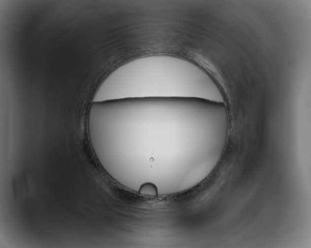 X0000088630065200705250906