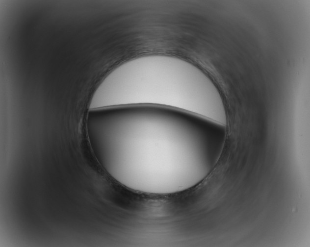 X0000088630066200705250906