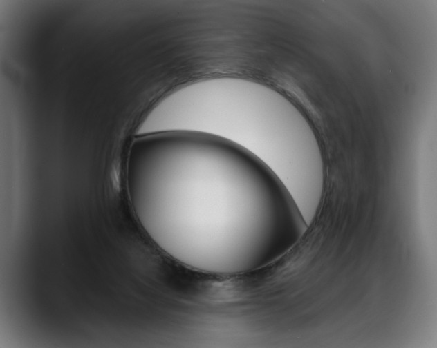 X0000088630068200705250907