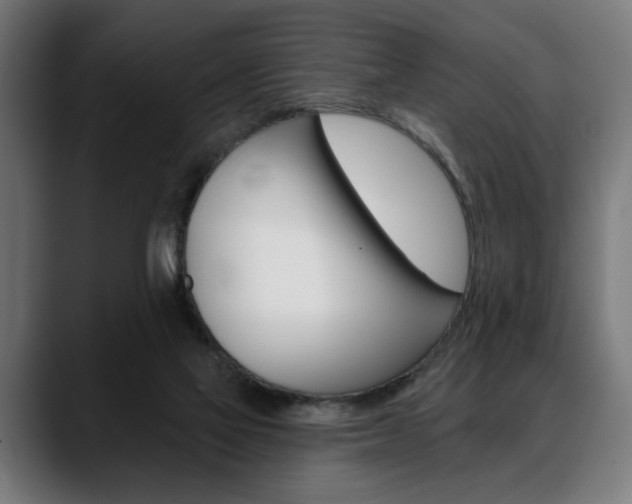 X0000088630069200705250907