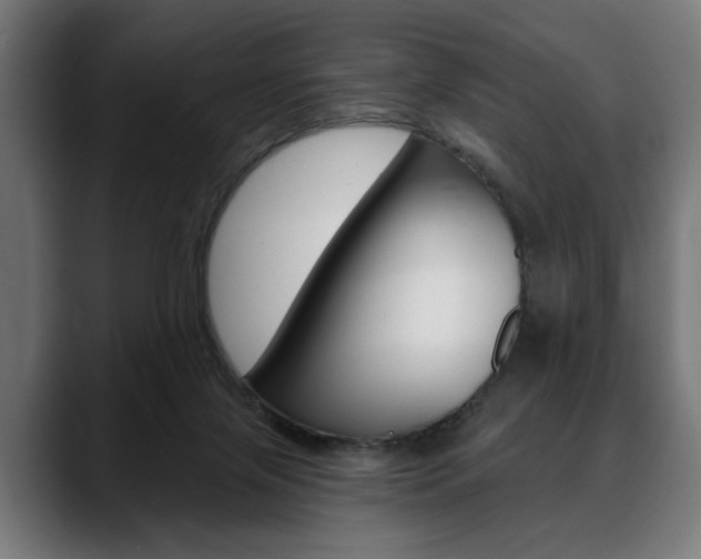 X0000088630071200705250907