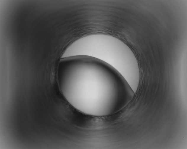 X0000088630080200705250907