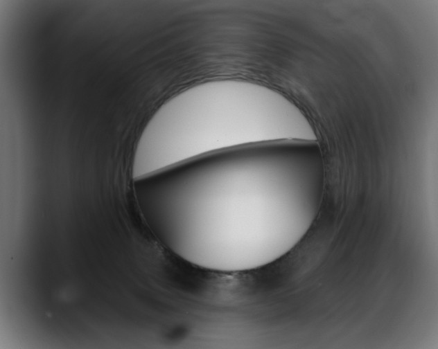 X0000088630083200705250907