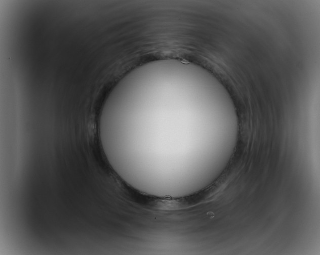 X0000088630085200705250907