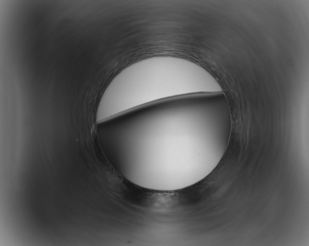 X0000088630089200705250907