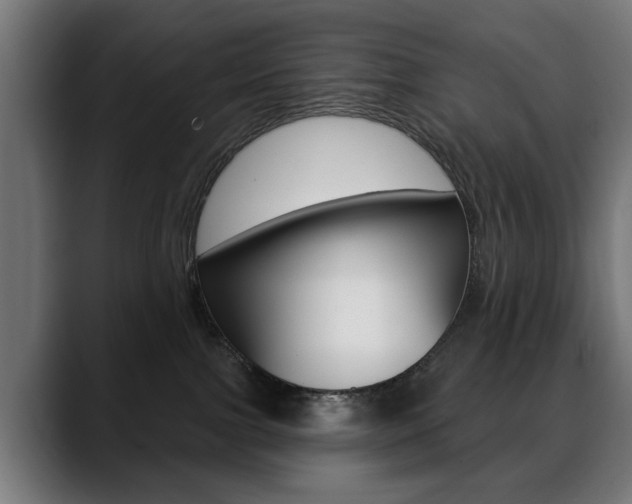 X0000088630091200705250907