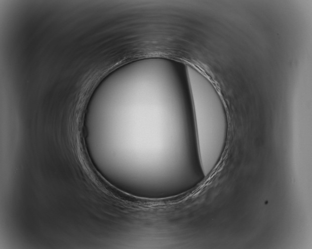 X0000088630097200705250906