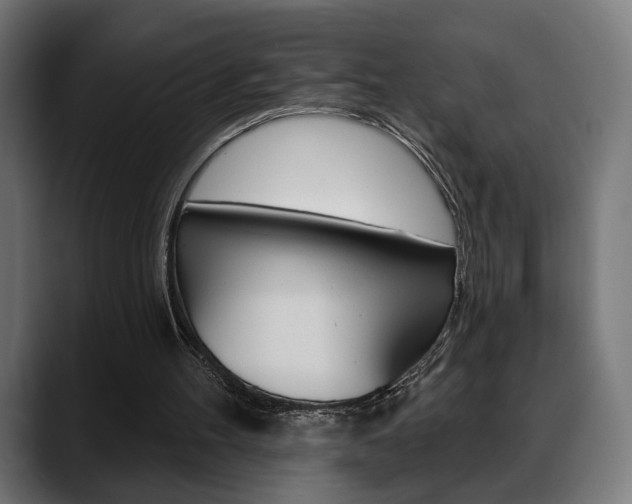 X0000088630100200705250906