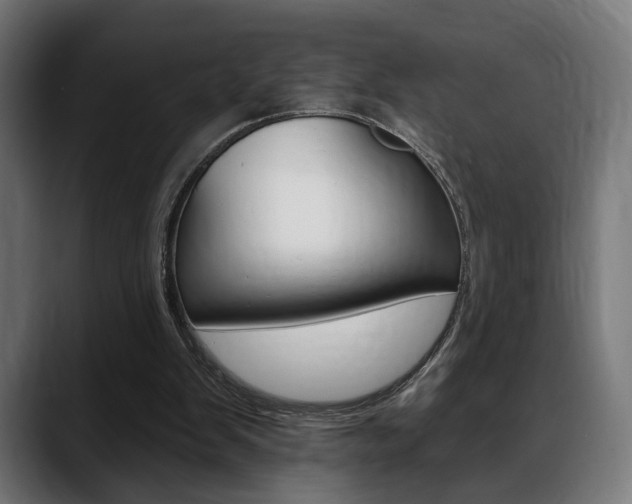 X0000088630103200705250906