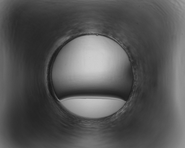 X0000088630104200705250906