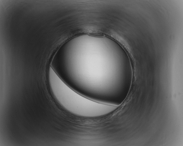 X0000088630105200705250906