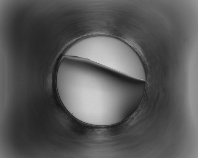 X0000088630108200705250906