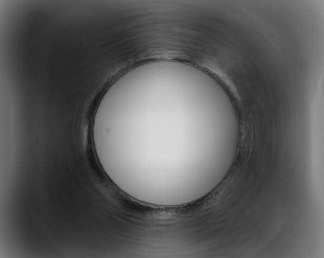 X0000088630110200705250906