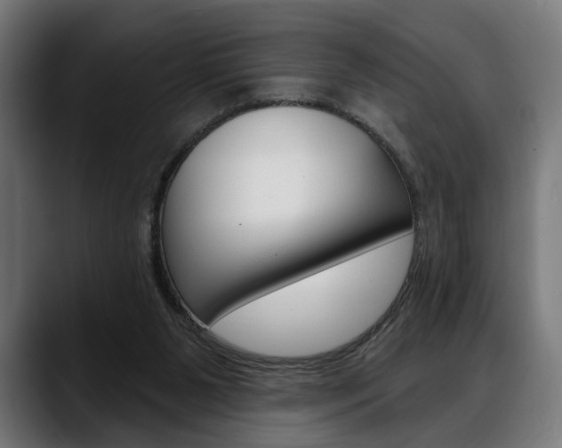 X0000088630111200705250906