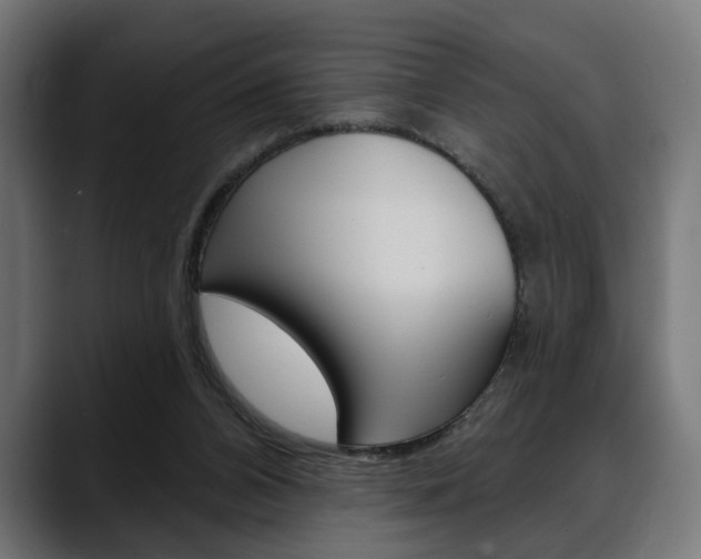 X0000088630112200705250906