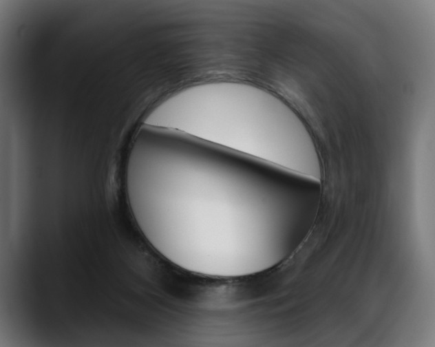 X0000088630116200705250906