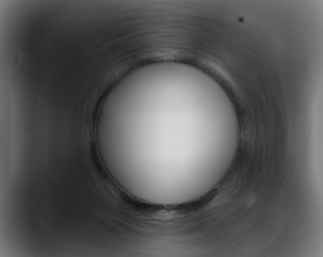 X0000088630119200705250906