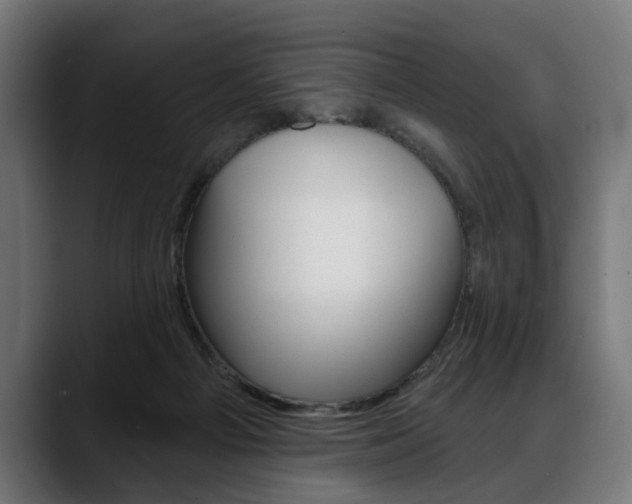 X0000088630121200705250906