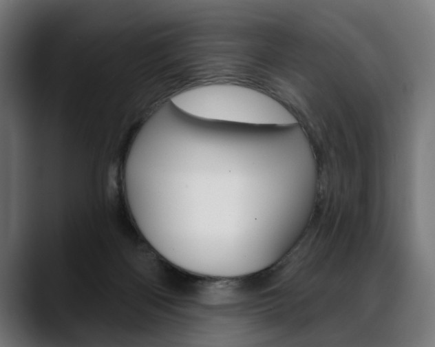 X0000088630122200705250906