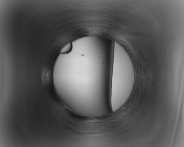 X0000088630123200705250906