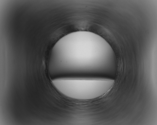 X0000088630128200705250906