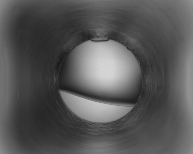 X0000088630129200705250906